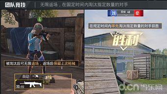 李逍遥和平精英爆料视频,揭秘游戏新内容与精彩瞬间