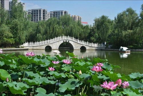 西安丰庆公园爆料视频,揭秘公园里的不为人知故事